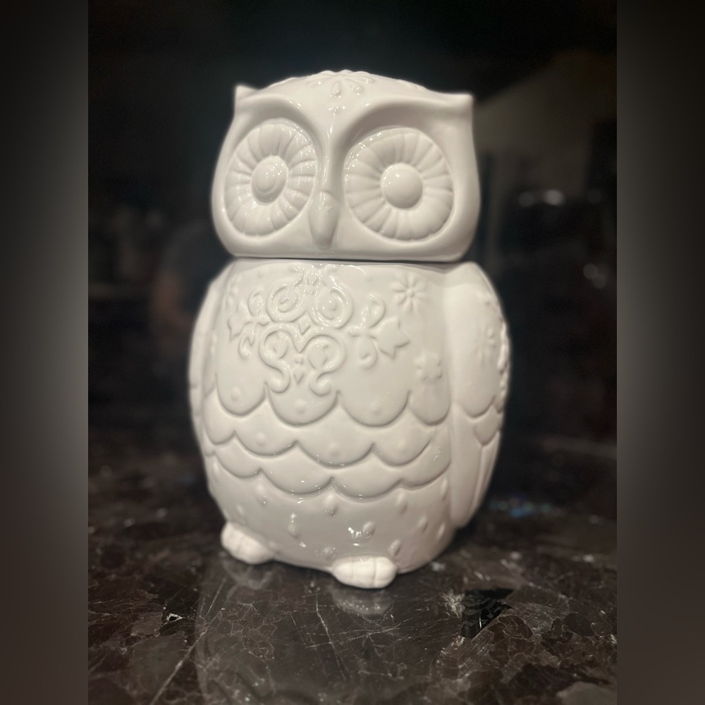 Cost Plus World Market White Ceramic Owl Cookie Jar